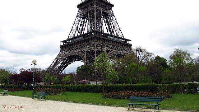 La pas pe malul Senei: de la Tour Eiffel la Louvre