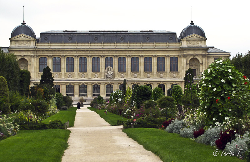 Jardin des Plantes (Paris)