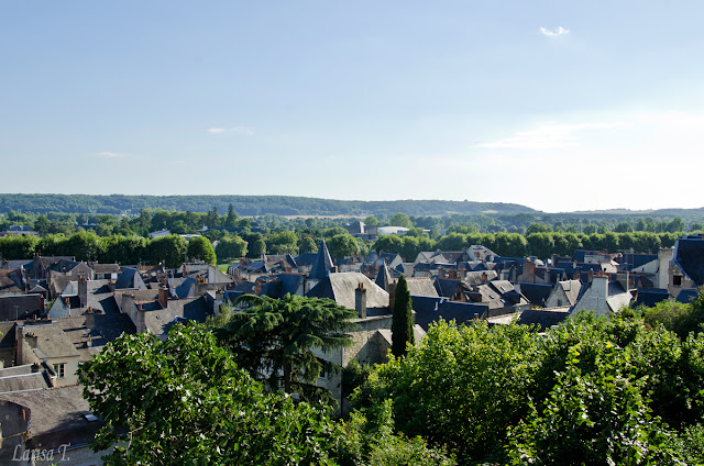 Chinon Valea Loarei Franta