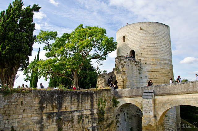 Chinon Valea Loarei Franta