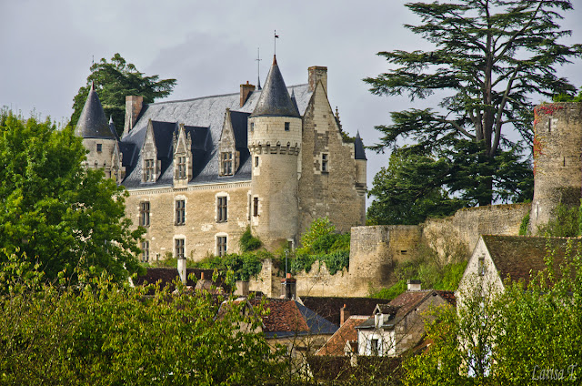 Castelul Montresor Valea Loarei Franta