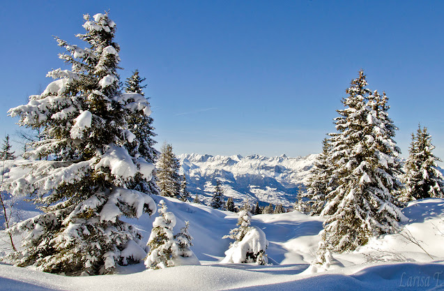 Prarion Les Houches Mont Blanc