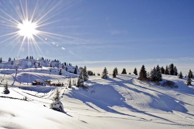 Prarion Les Houches Mont Blanc