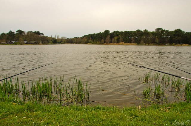 La pescuit pe malul lacului Rillé