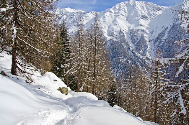 Bertone Mont Blanc Italia