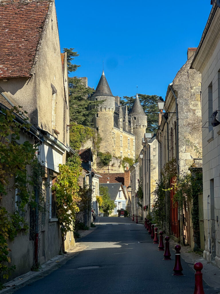 Montésor Valea Loarei Franța
