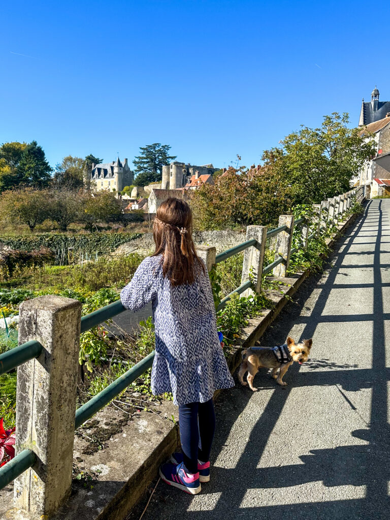 Montésor Valea Loarei Franța