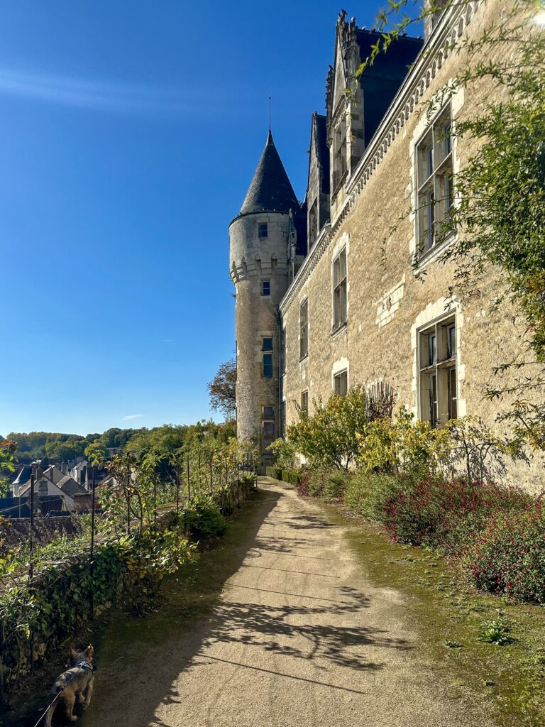 Montésor Valea Loarei Franța